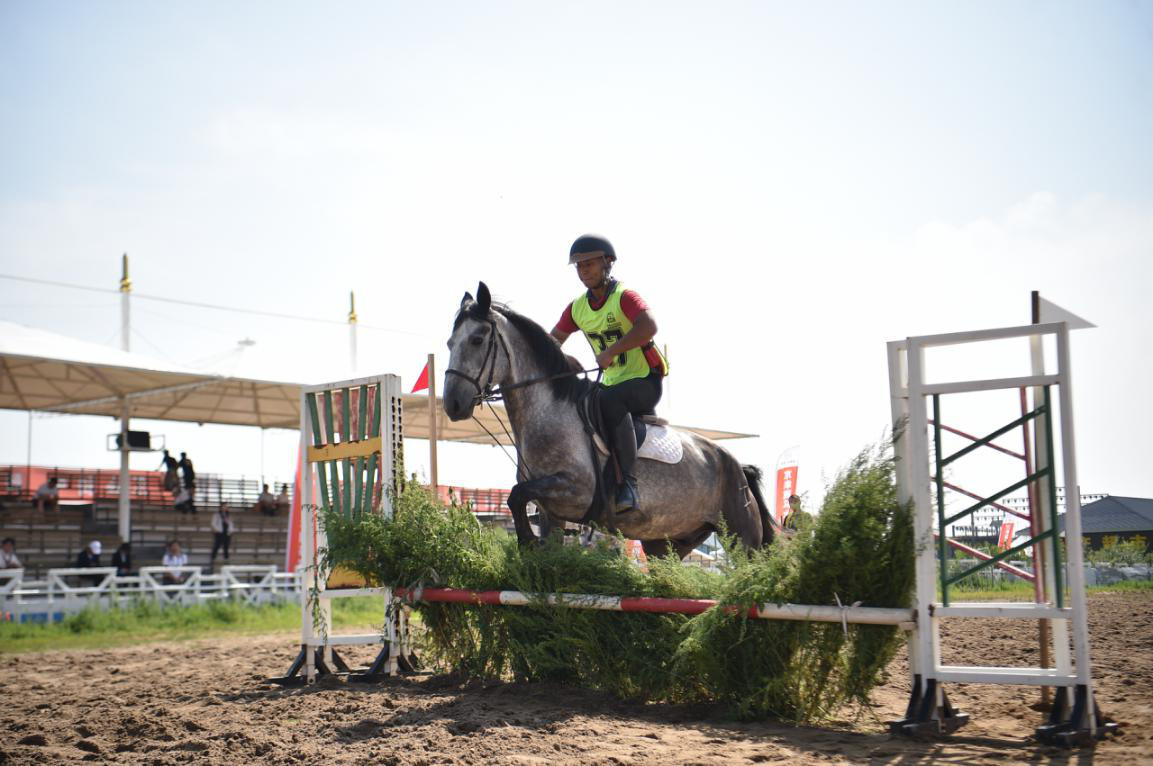 ��ͳ���������ò�ҵ�������������������������ű���������Ƭ