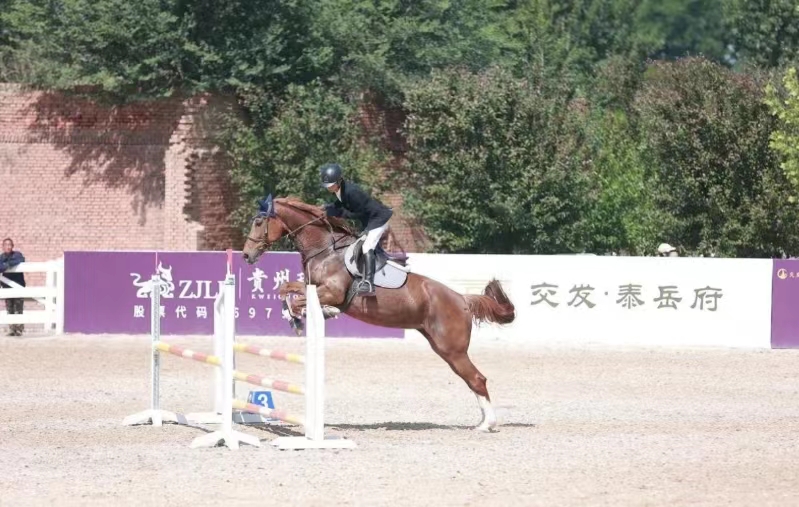 2024�����ݱ������˺������������߾�������������Բ����Ļ