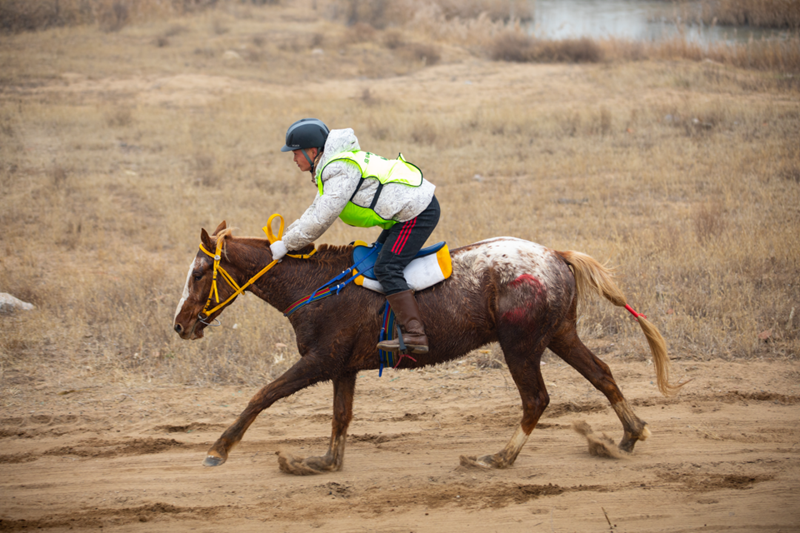 ���������Ļ����δ�ϵ�����������֮������������������ս���