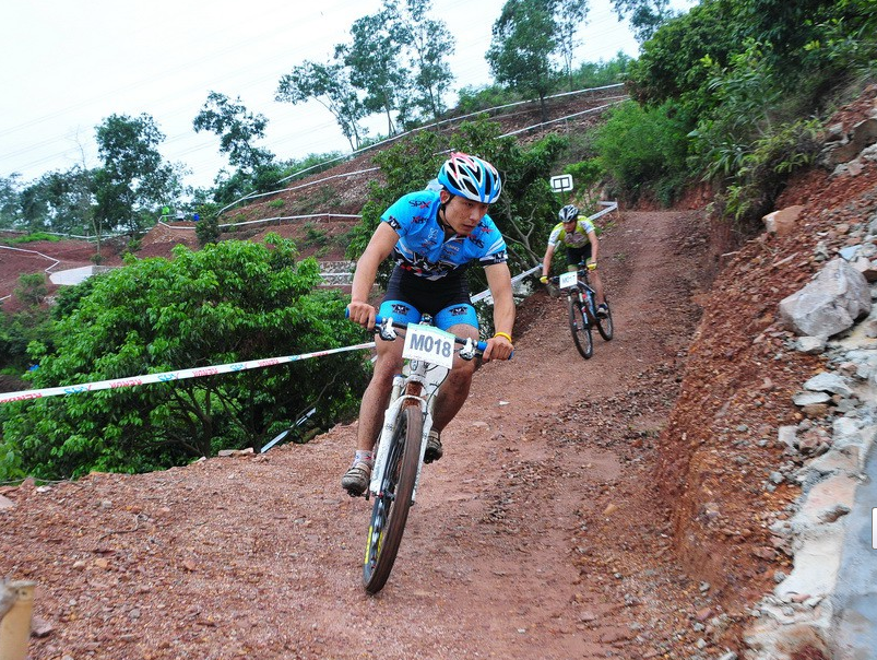 体球网即时比分