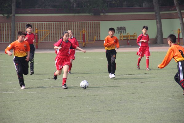 2012-2013��Ⱥ�����������У԰������������