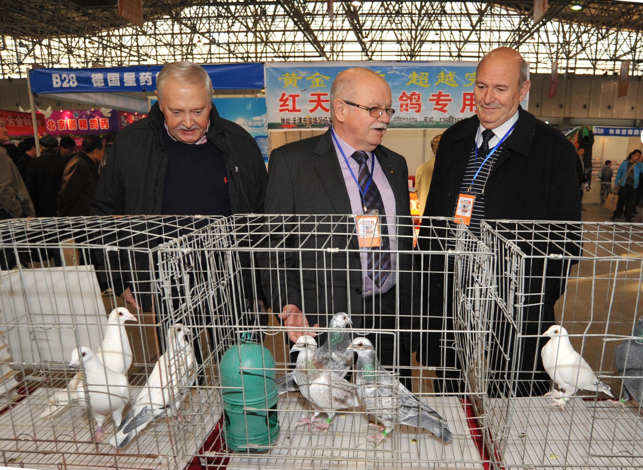 ��������ʱ�ȷ�