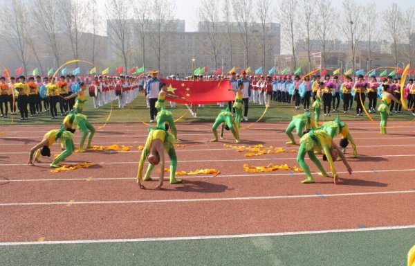 �����ؾٰ�2015�괺����Сѧ���ﾶ�˶���