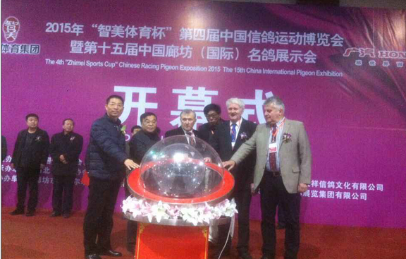 体球网即时比分