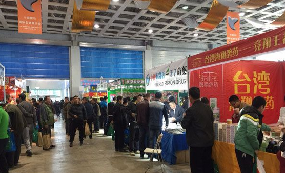 体球网即时比分