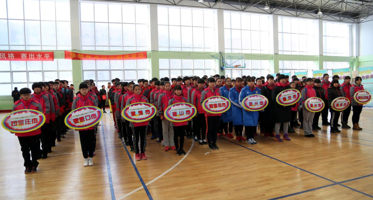 体球网即时比分