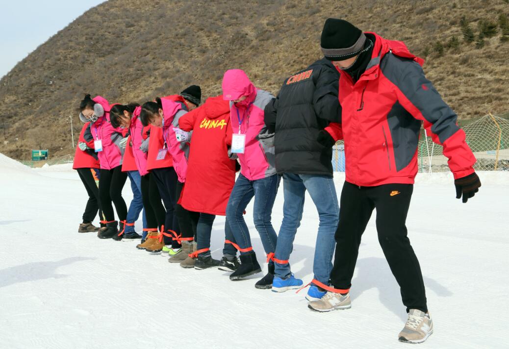 体球网即时比分