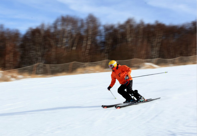 体球网即时比分