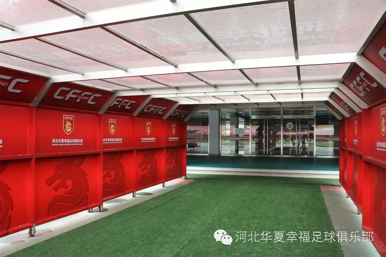 体球网即时比分