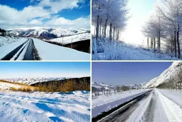 体球网即时比分