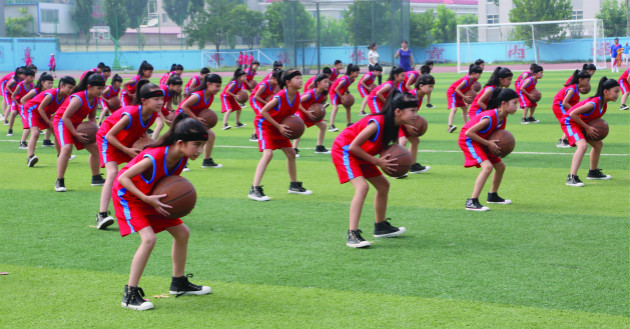 体球网即时比分