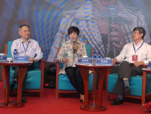 ����ЧӦ��ʼ����