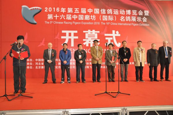 ������й��Ÿ��˶��������ߵ�ʮ�����й��ȷ������ʣ�����չʾ����Ļ