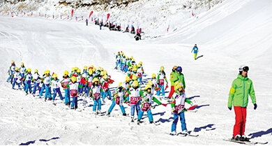 体球网即时比分