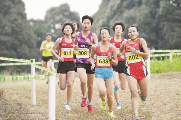 ȫ��ԽҰ�� �ӱ���Ա��������