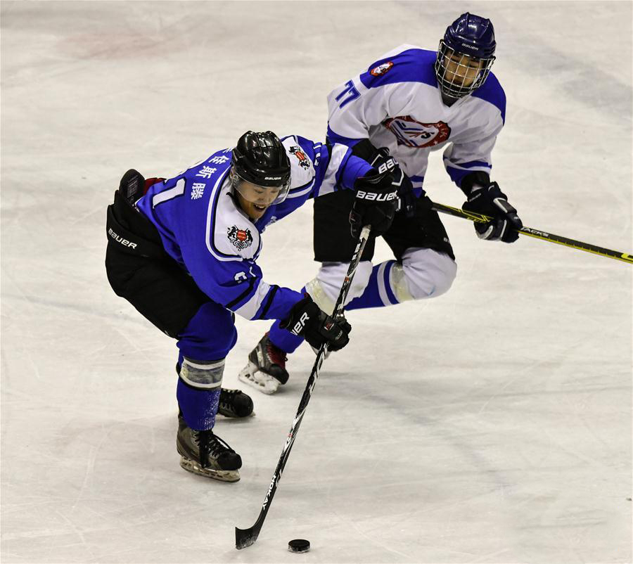 体球网即时比分