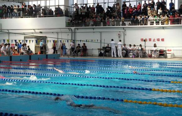 体球网即时比分