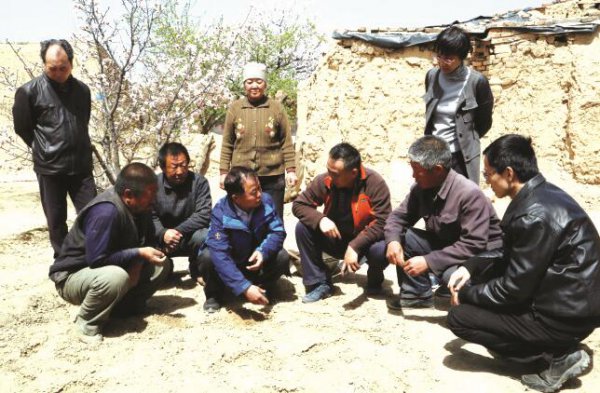 פ��Ϊ�� ���廨�����Ӯ��ƶ����ս ����ר��ȫʡ��׼��ƶ����פ���һ���ʷ����