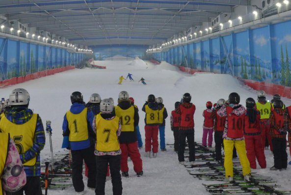 ��ʡ2017���ѩ�˶���Ŀ�������ָ��Ա��ѵ�࿪��