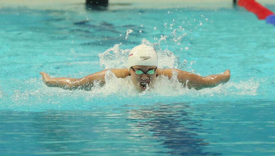 体球网即时比分