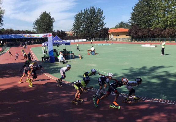 2017��ӱ�ʡ�������ֻ�����������