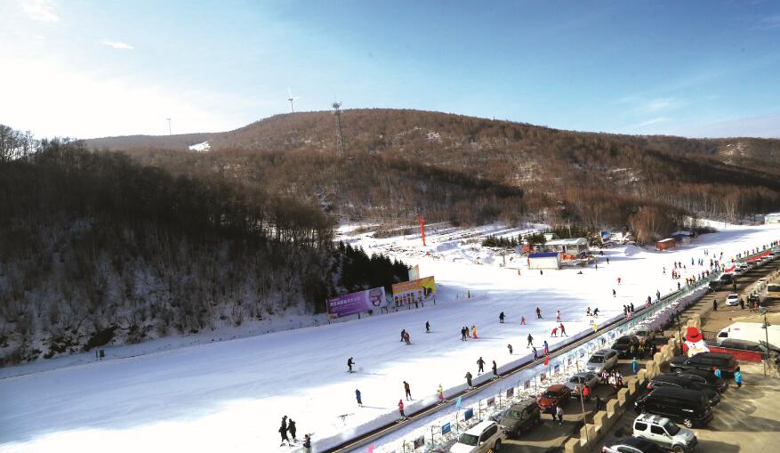 体球网即时比分