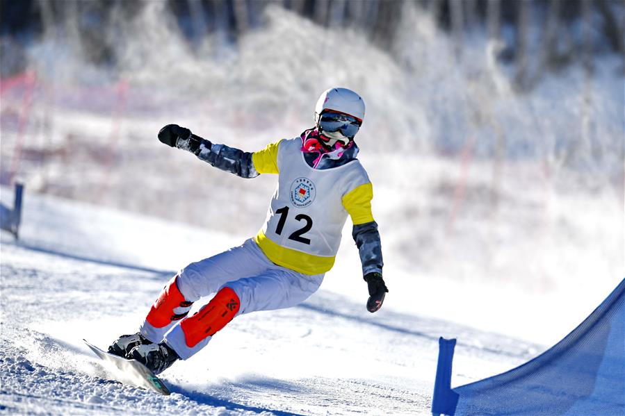 体球网即时比分