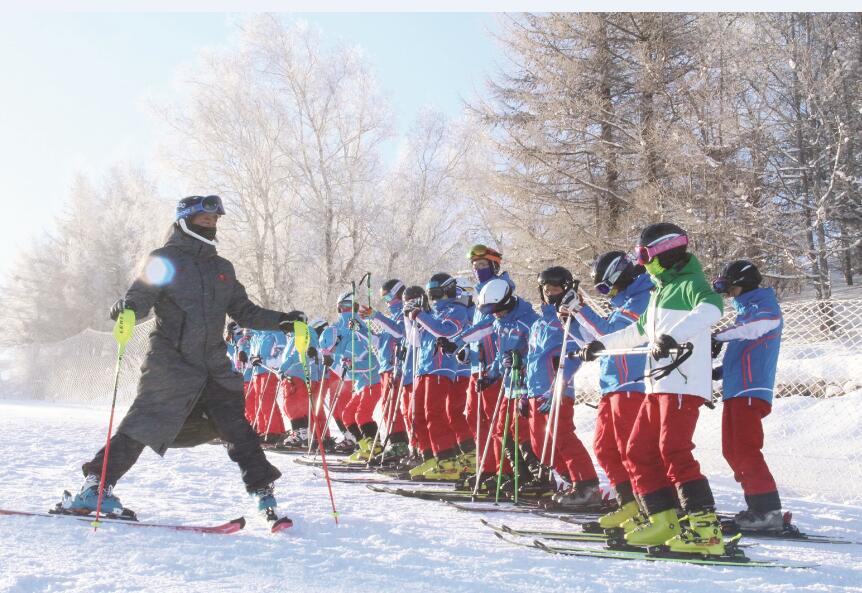 体球网即时比分