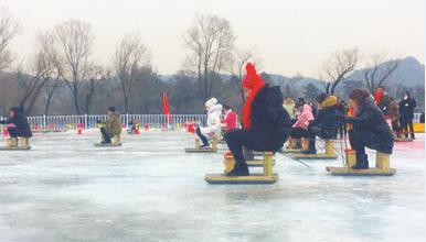 体球网即时比分