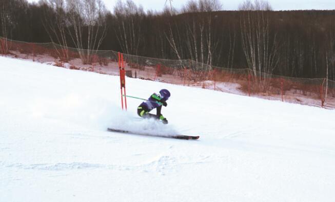 体球网即时比分