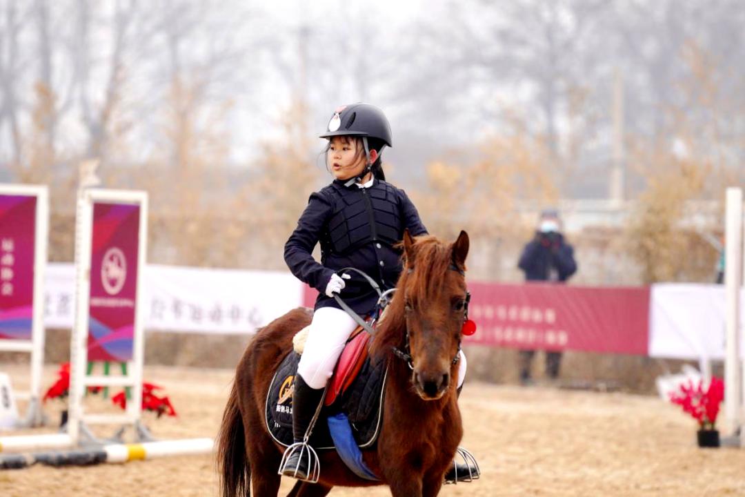 2022��ӱ�ʡ�������������������Ƚ�����