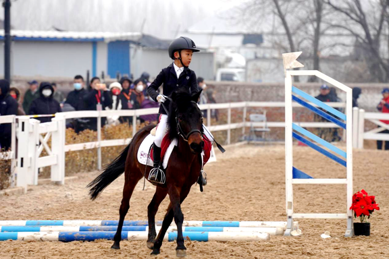 2022ӱʡߺӱʡʮ˶ᣨĿԤ˲