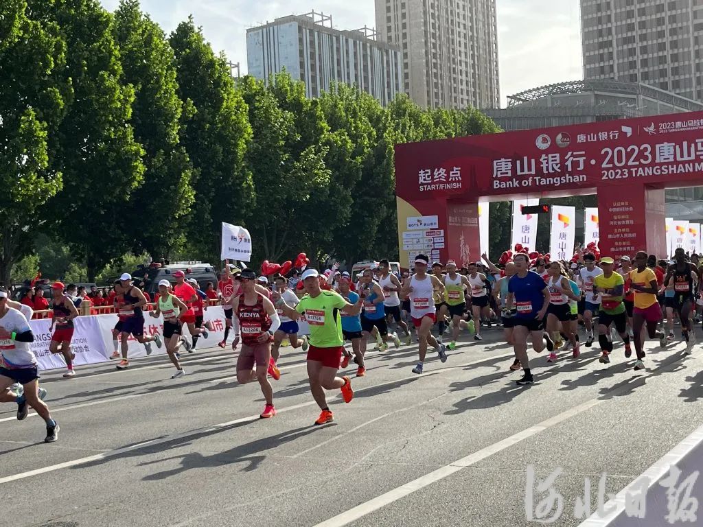 2023��ɽ��������ǹ����