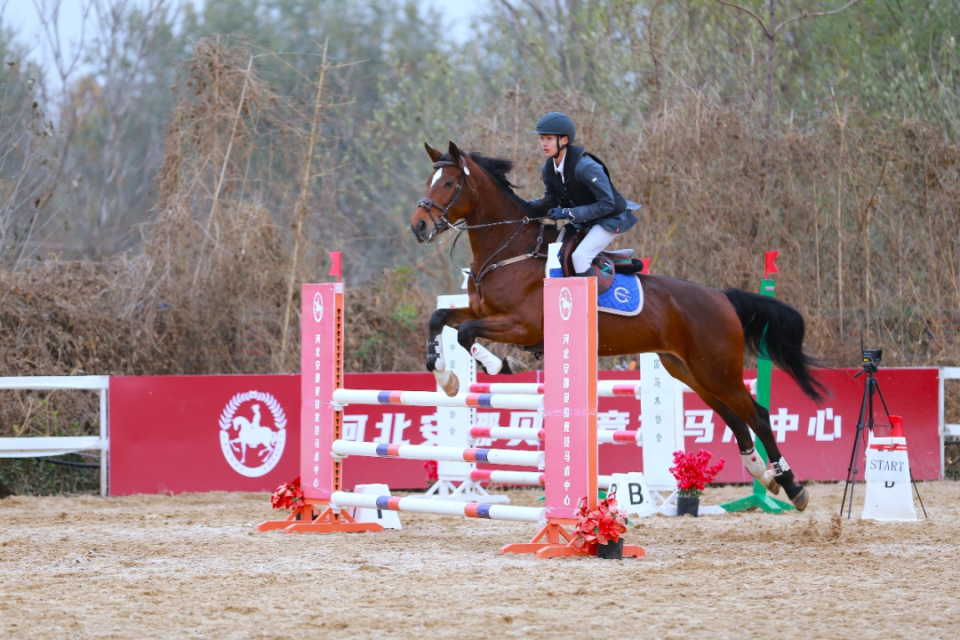 �ӱ�ʡ�׽�ȫ�����������ʡ���ܾ���Բ������