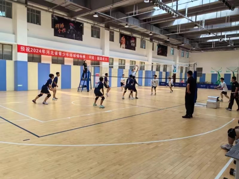 <b>2024��ӱ�ʡ��������������������飩�ڶ��ݿ���</b>