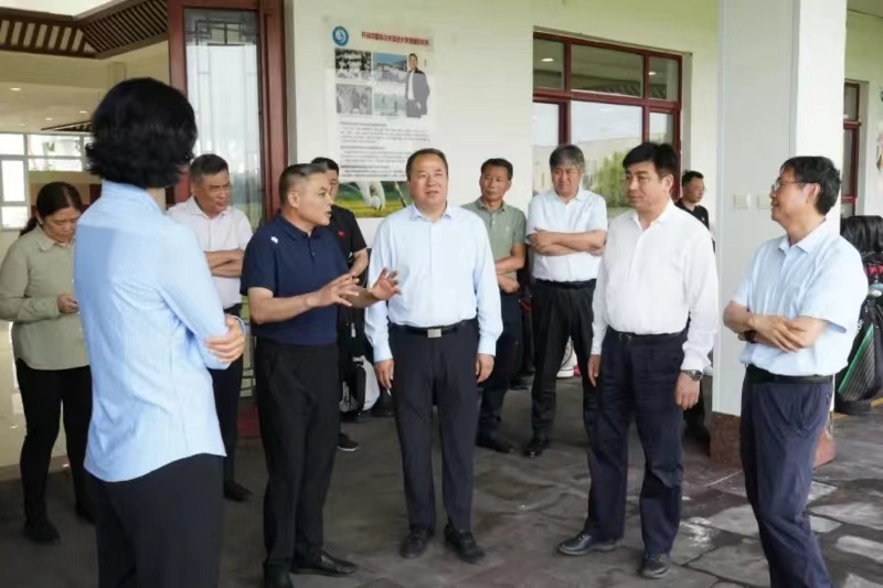 <b>����������ֵ��ӱ�����ѧϰ</b>