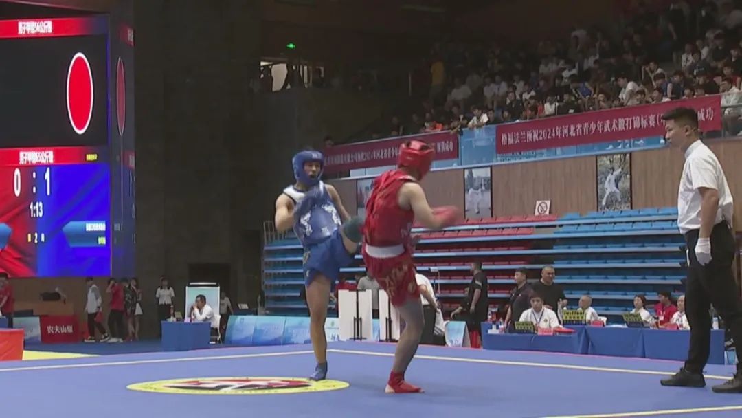 2024��ӱ�ʡ����������ɢ������������飩��ʽ����