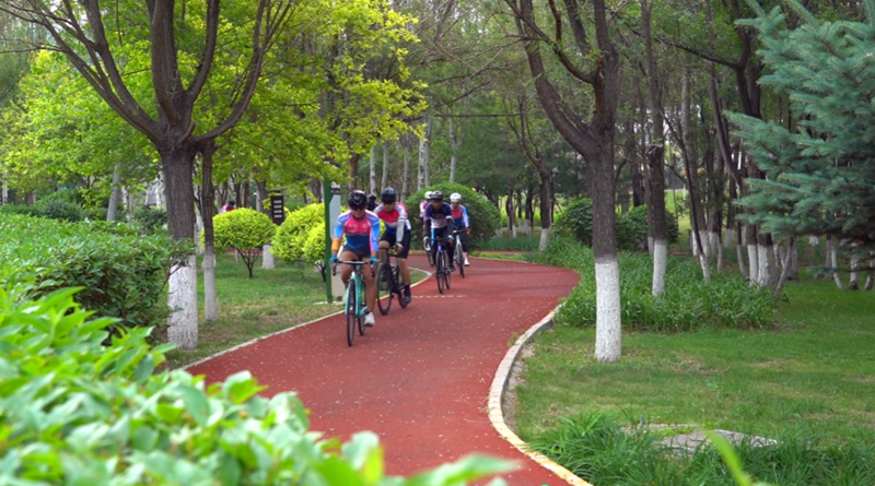 ���񣺻������г�Ϊ��ʱ�� �������������á�����Ƭ