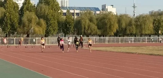 2024�걣�����������ﾶ����������Ļ