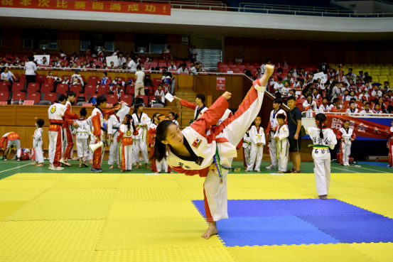 2024ʯ��ׯ�С���Э������ȭ���ݹ�����Բ���ٰ�