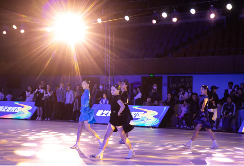 2024�������ӱ�ʡ�����赸��վ�������ܾ������ػʵ���Բ����Ļ