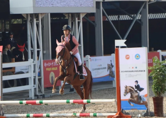 2024��ӱ�ʡ����������������Բ����Ļ