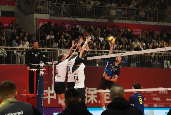 �ӱ��������������Ϻ�������