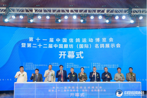 ��ʮһ���й��Ÿ��˶��������ߵڶ�ʮ�����й��ȷ������ʣ�����չʾ��ɹ�����