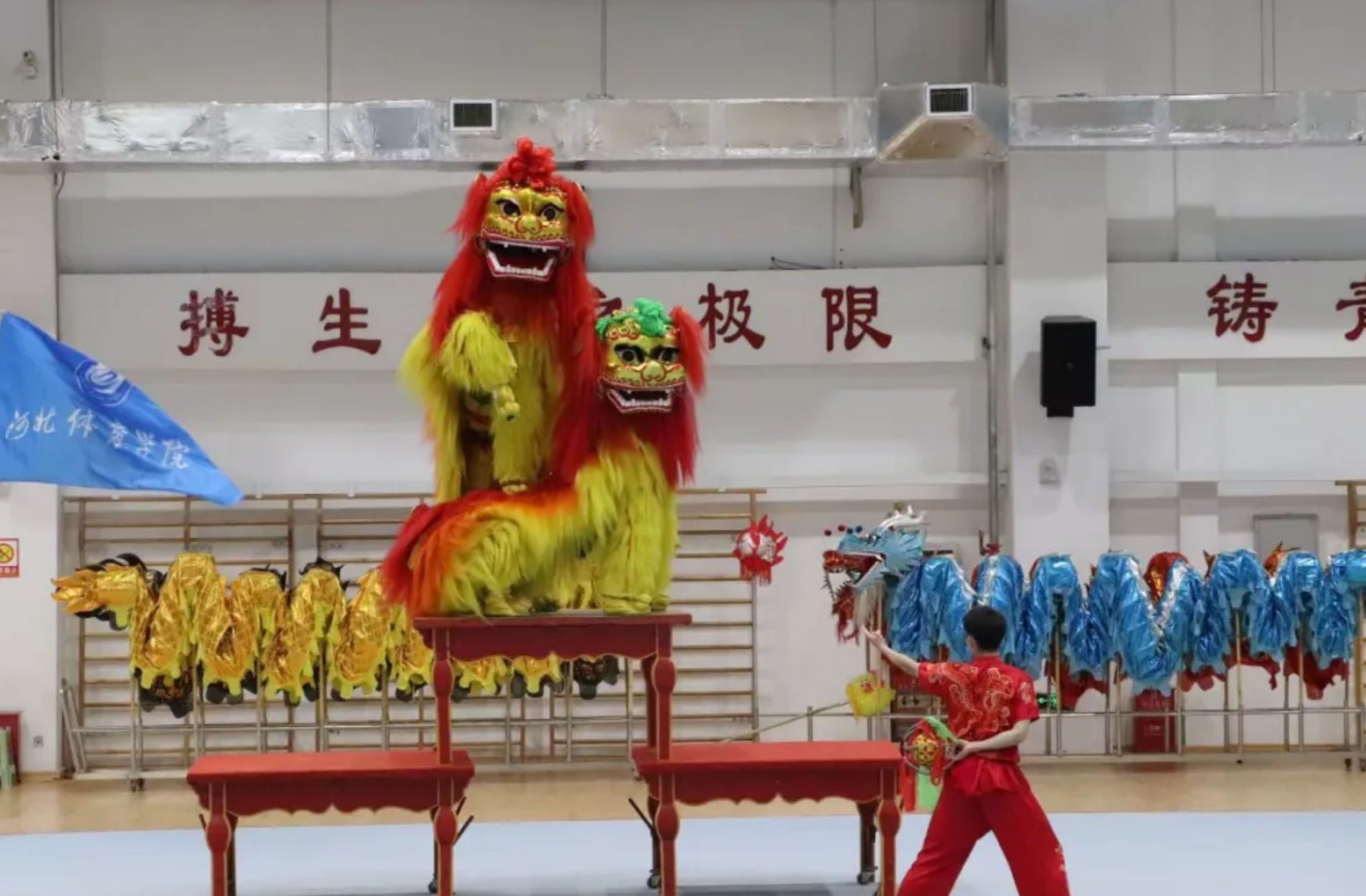 2024��ӱ�ʡȫ��������������ʨ��������������ʱ�ȷ�
ѧԺ����