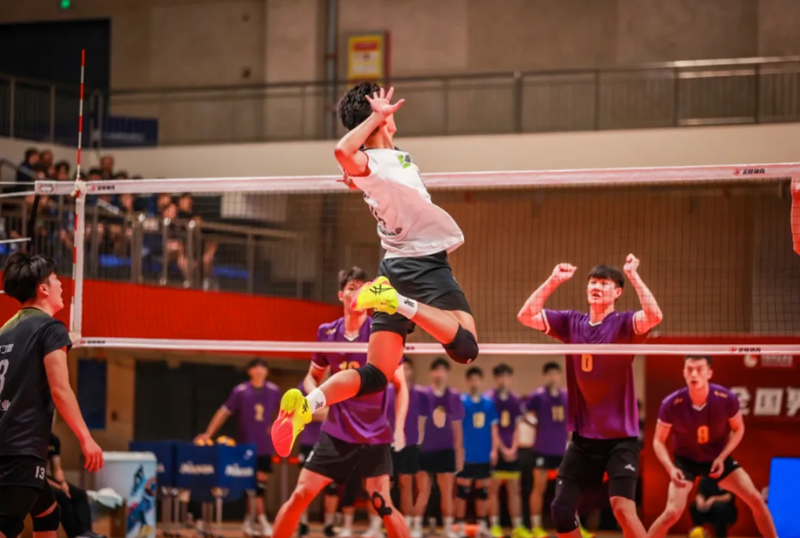 С��Ϊý������������������