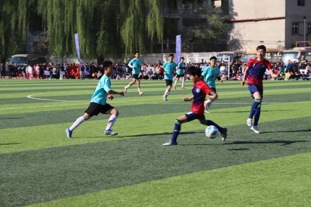 �������С������⡱������ϵ������2025�궨���еڰ˽조�г���������������������