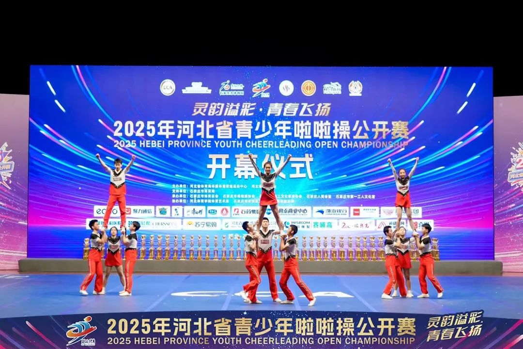 2025��ӱ�ʡ�����������ٹ�������Ļ