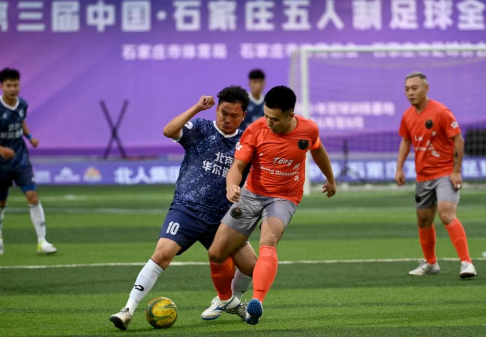 �������й���ʯ��ׯ����������ȫ����̨�����ȿ���