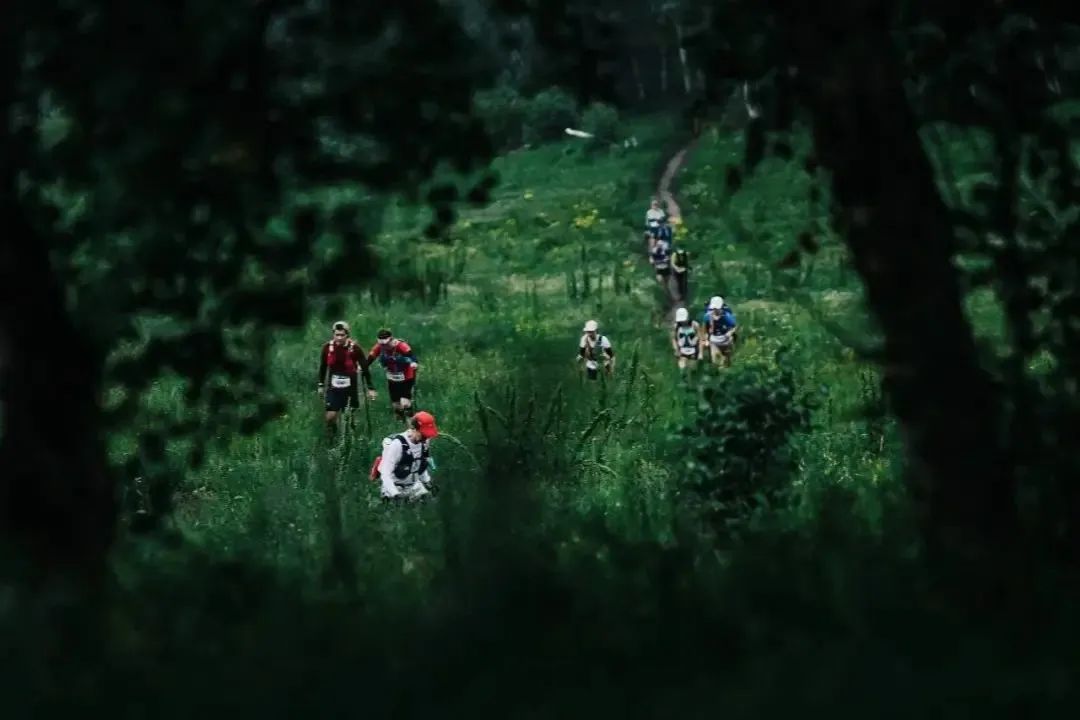 ����168���۷�ԽҰʢ�缴����Ϯ